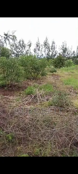 4 Acres Land on Sale