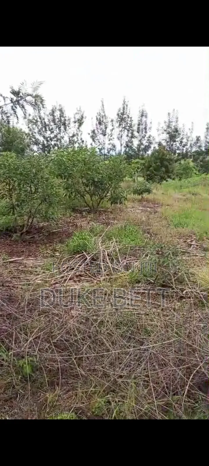 4 Acres Land on Sale