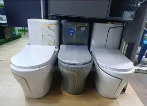 Toilet Seat
