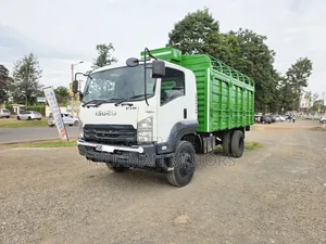Isuzu FTR H/Sided 2021 White