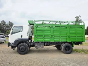 Isuzu FTR H/Sided 2021 White