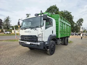Isuzu FTR H/Sided 2021 White