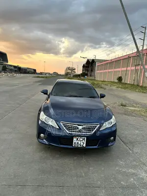 Toyota Mark X 2.5 RWD 2010 Blue