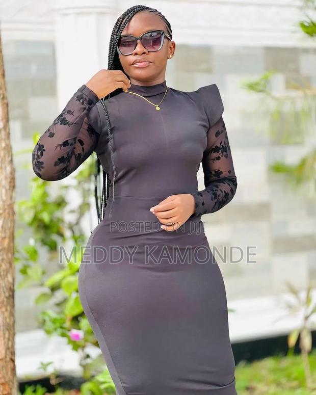 Elegant Stylish Bodycon Dress