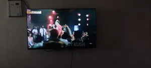 Smart Tv With Digital Browser