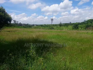 Kabati 43 Acres 2km From Superhighway