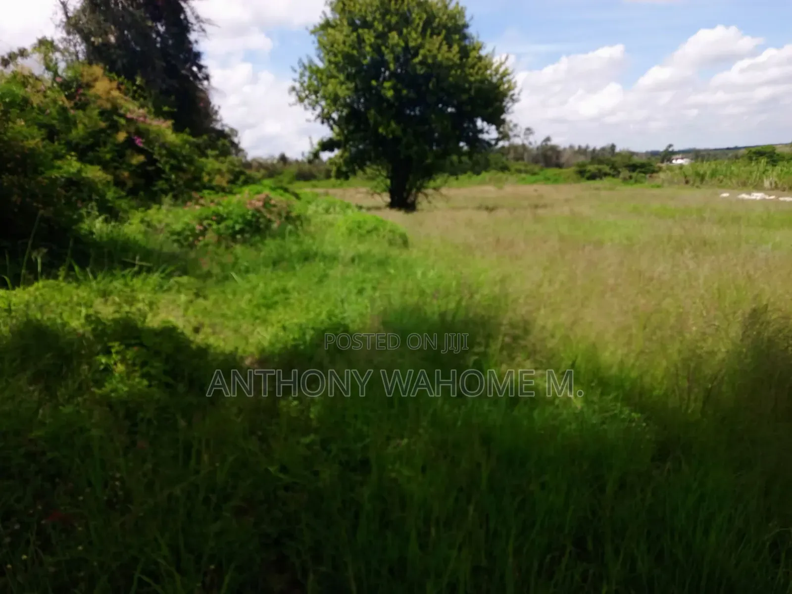Kabati 43 Acres 2km From Superhighway