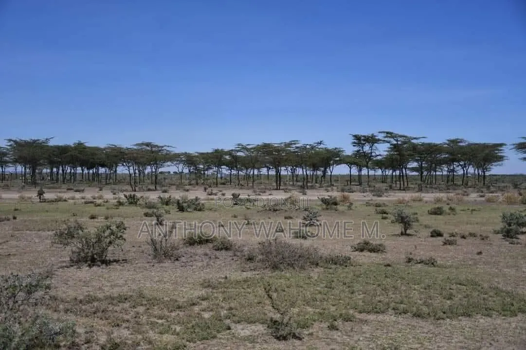 Nanyuki 1/8ac Prime Plots 1.4km From Rumuruti Rd(To Be Tarmacked)