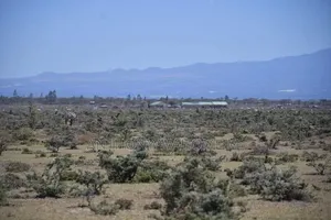 Nanyuki 1/8ac Prime Plots 1.4km From Rumuruti Rd(To Be Tarmacked)