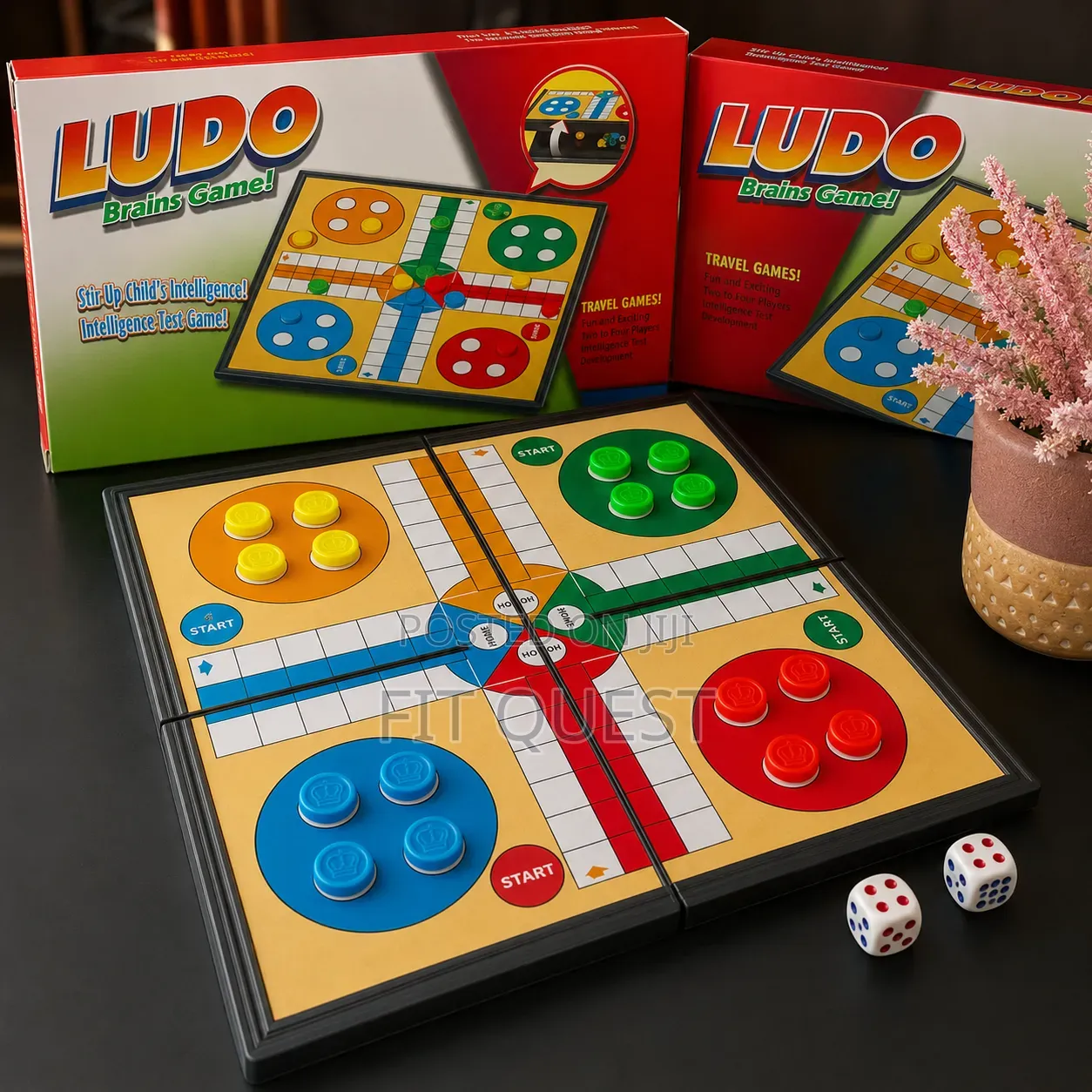 Ludo Brains Game Foldable Board Family Travel Game Set
