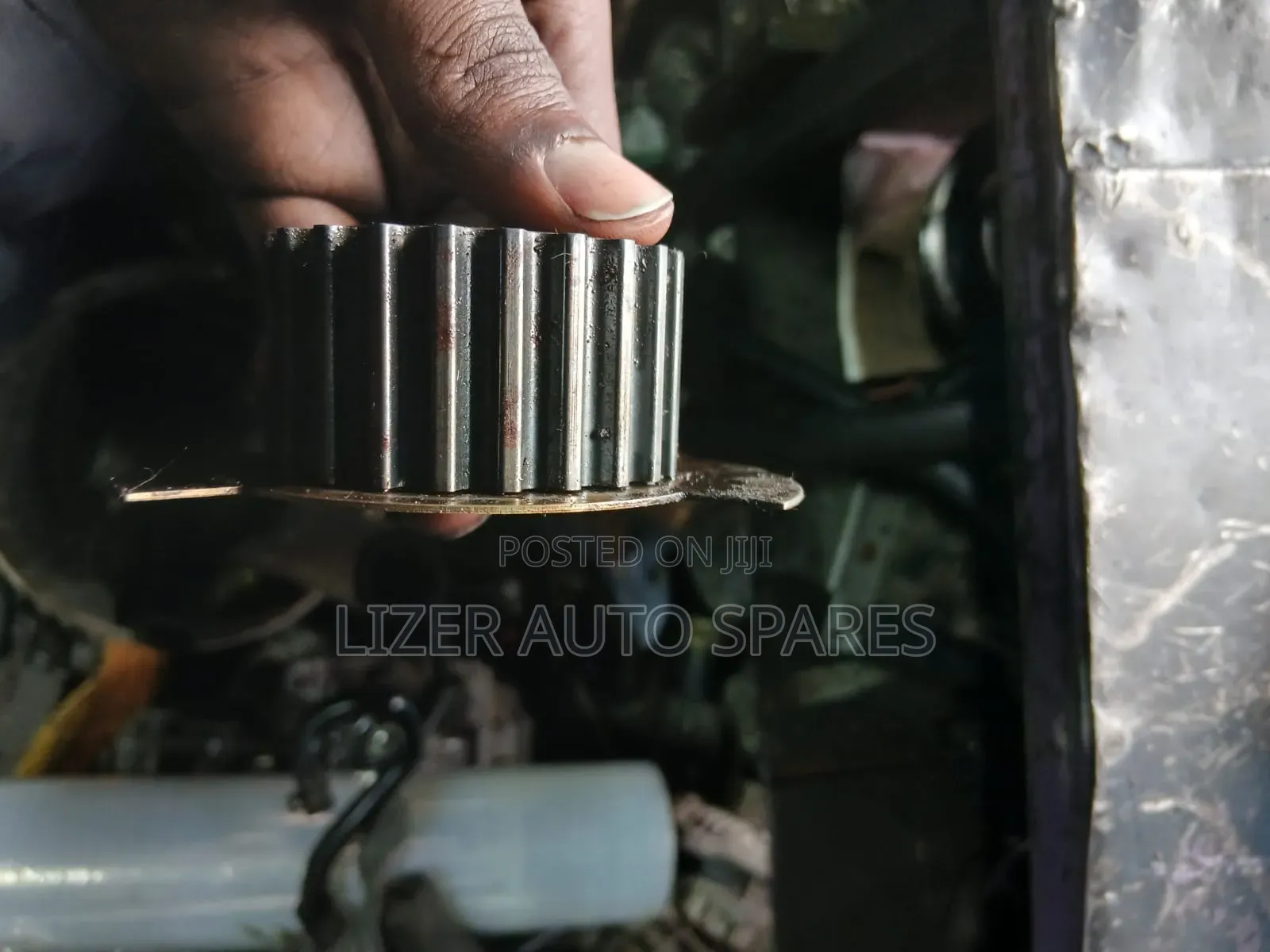 Crank Shaft Gear