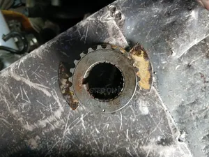 Crank Shaft Gear