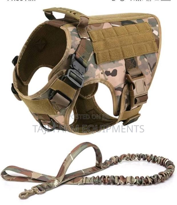 Heavy Duty Combat Dog Vest + Leash
