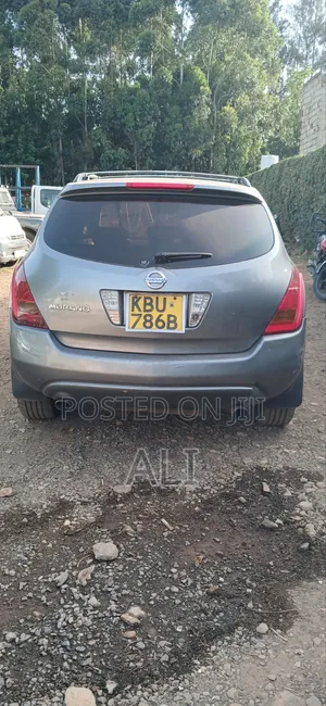 Nissan Murano 2005 Gray