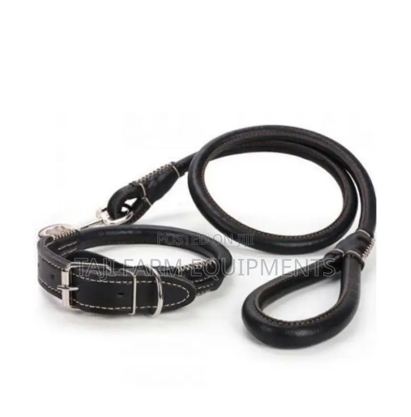 Quality Leather Dog Leashes Now Available!