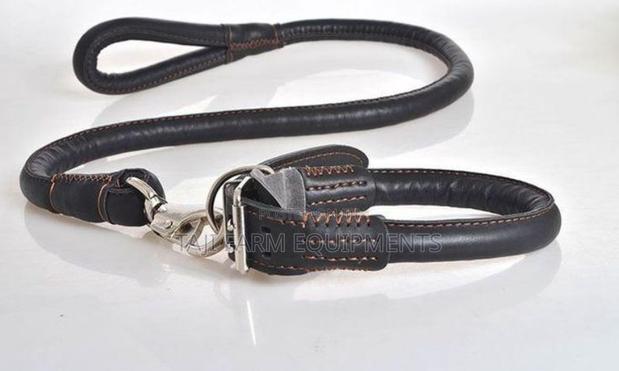 Quality Leather Dog Leashes Now Available! - thumbnail 2