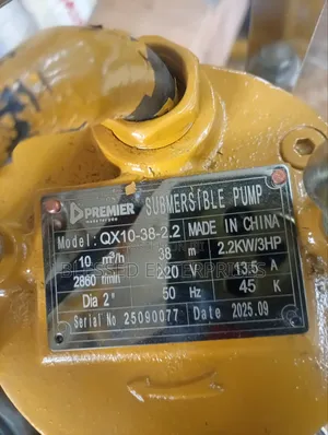 2 Inch 30 Meter Premier Submersible Sewage Pump 3hp
