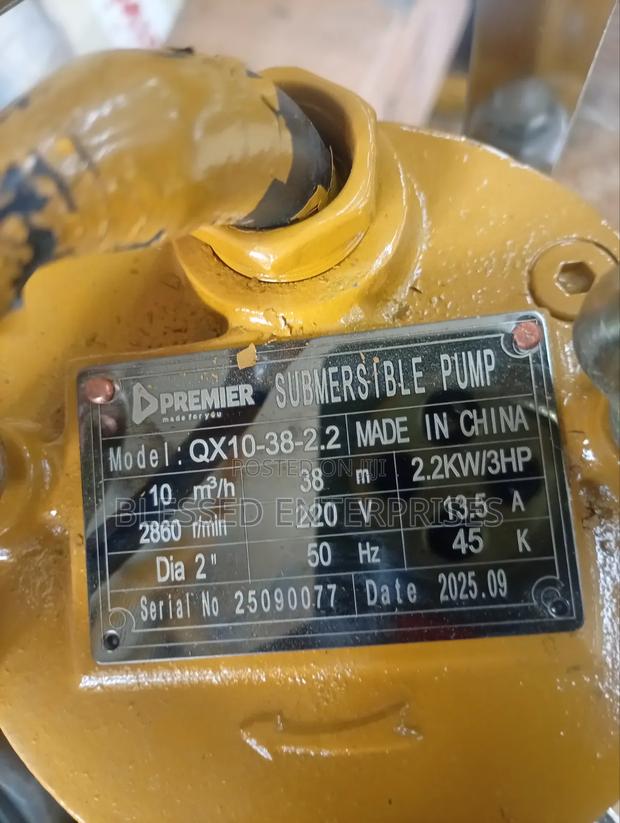 2 Inch 30 Meter Premier Submersible Sewage Pump 3hp