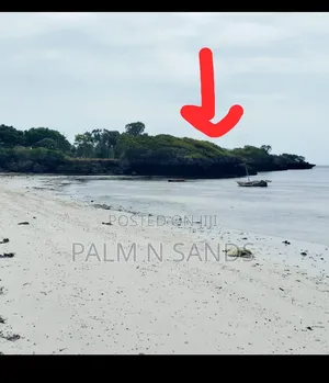 Exclusive Beachfront Plot for Sale in Msambweni –South Coast Gem