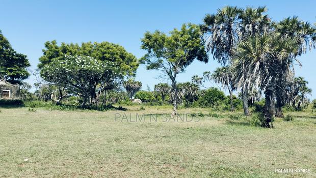 Exclusive Beachfront Plot for Sale in Msambweni –South Coast Gem - thumbnail 6