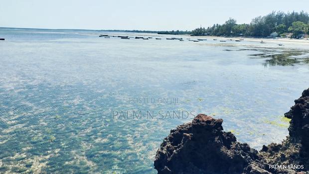 Exclusive Beachfront Plot for Sale in Msambweni –South Coast Gem - thumbnail 7