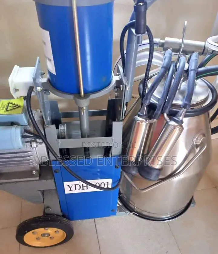 New Arrival Cylinder Premier Affordable Milking Machine