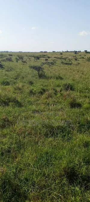 50×100 Plot For Sale In Konza