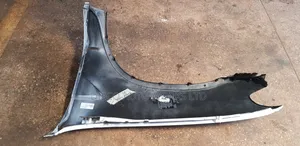 BMW X5 E53 Right Side Wing -