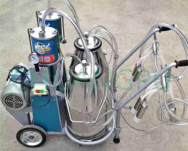 Milano Italia Industrial Milking Machine