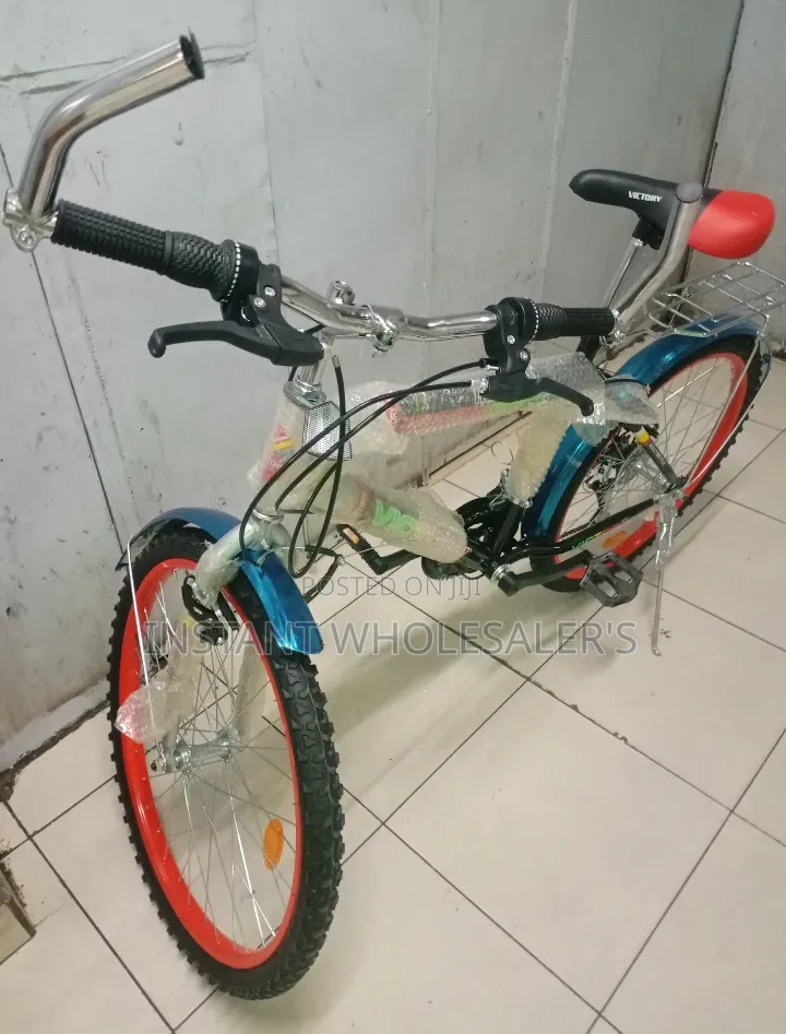 Victory Mountain Bike 24" Inch