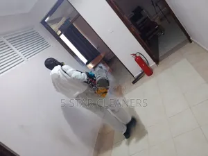 No Smell Bedbugs Fumigation Services- Smoke Fumigation