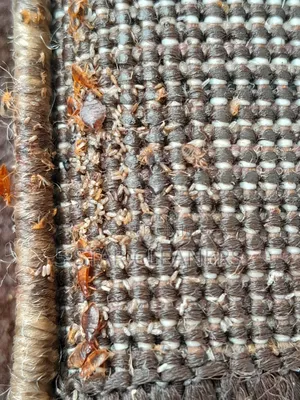 Kenya Fumigation Services