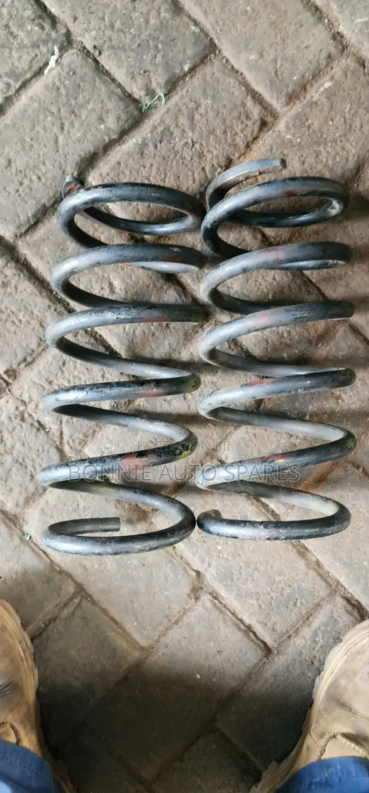Serena C26 Front Heavy-Duty Coil Springs