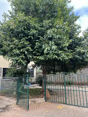 5bdrm Maisonette in Kings Gate Estate, Mlolongo for sale
