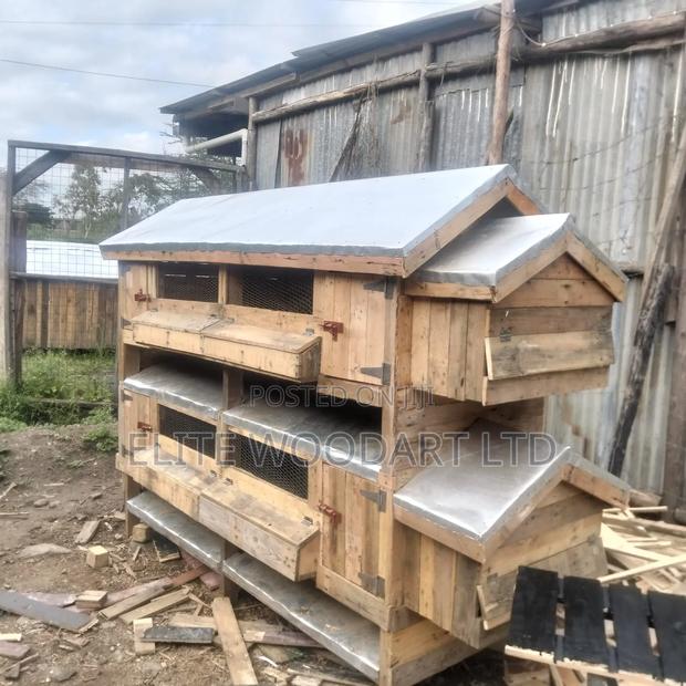 Birds/Chicken Shelter/Cage
