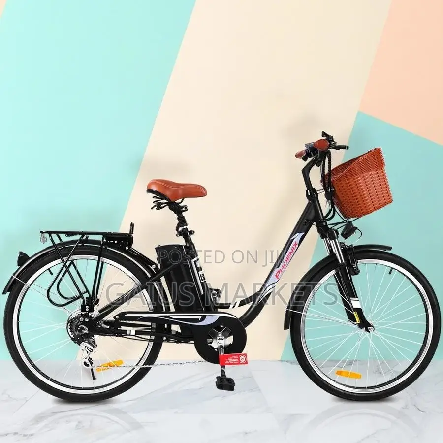 Lipa Pole Pole!! Compact E-bike