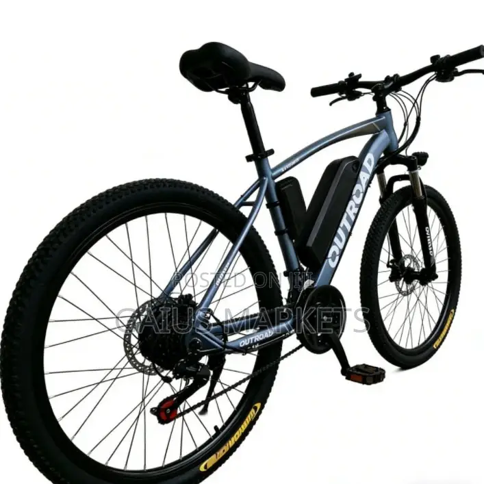 Lipa Pole Pole Electric Mountain Bike