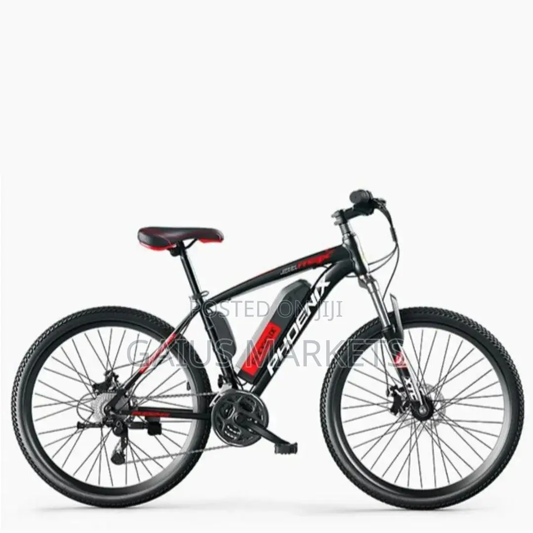 Lipa Pole Pole Electric Mountain Bike