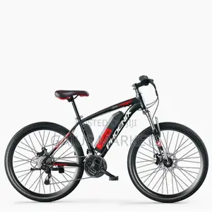 Lipa Pole Pole Electric Mountain Bike