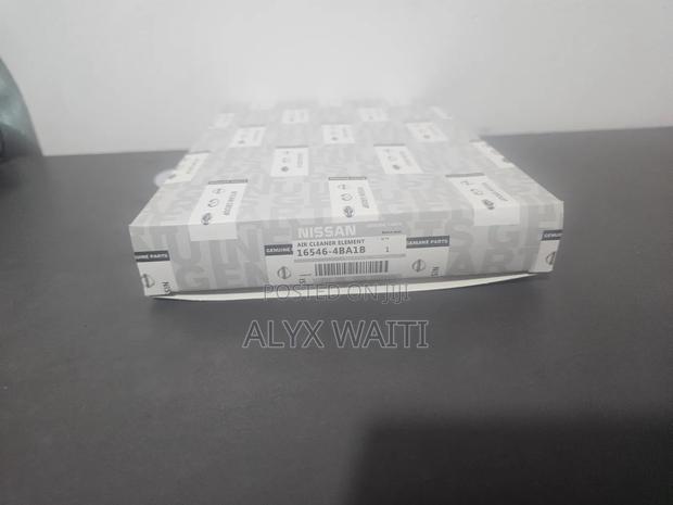 16546-4ba1b Nissan Xtrail Air Filter - thumbnail 2
