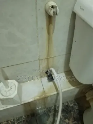 Cleaning and Fumigation Services