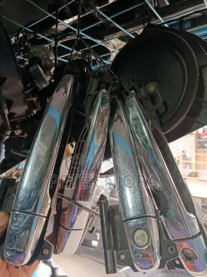 Door Handles Complete Premio 265