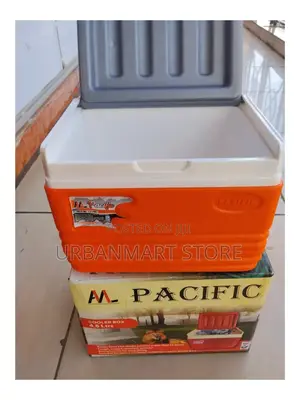 Pacific Compact Cooler Box With Lid 4.5 Litres