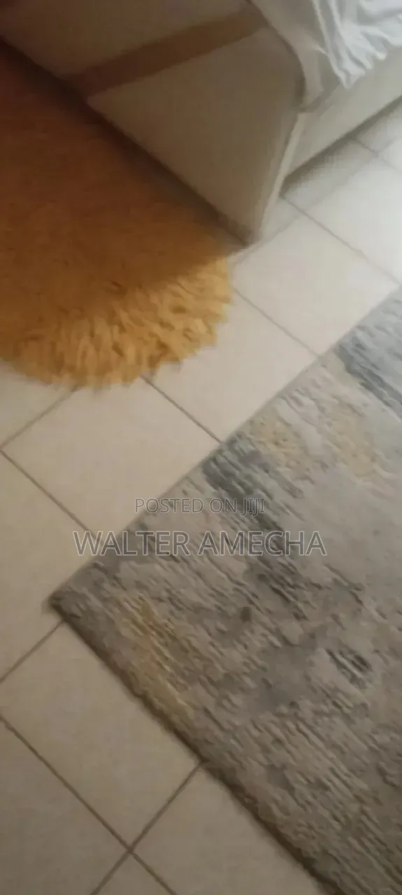 Furnished Studio Apartment in Roysambu for rent