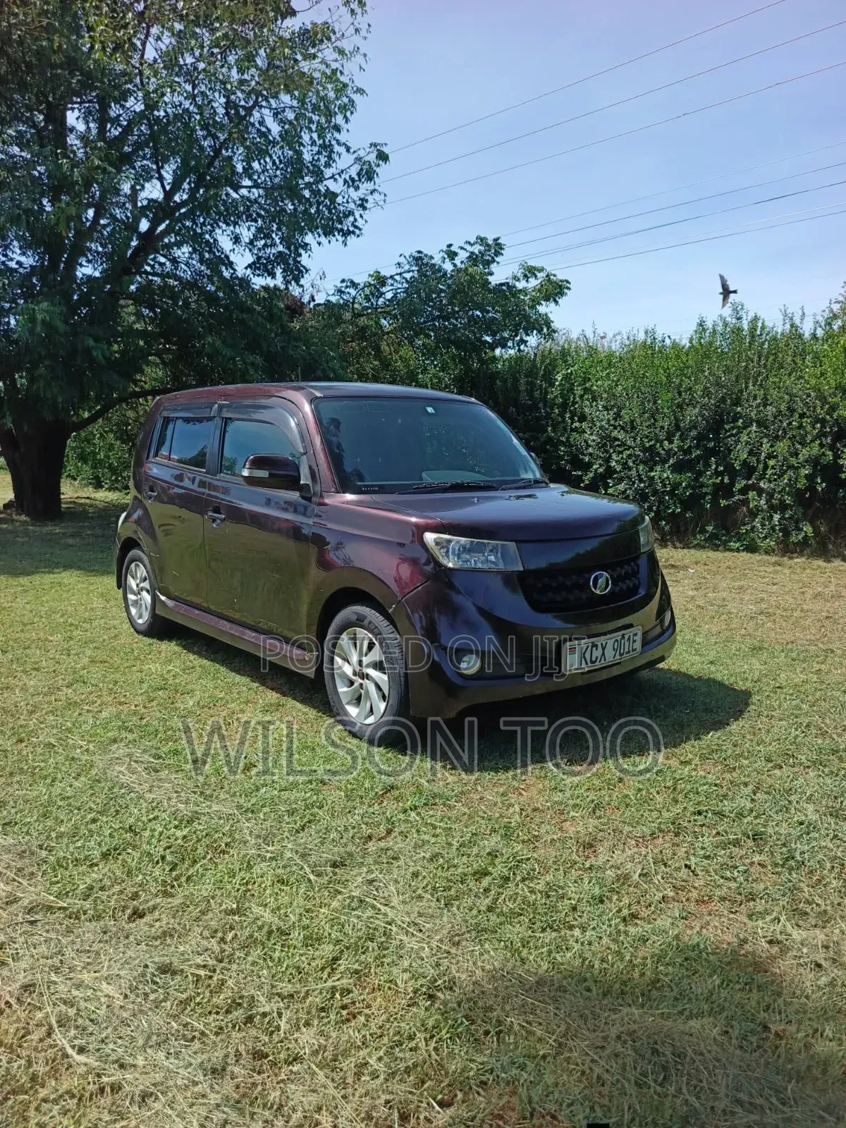 Toyota bB 2012 Red