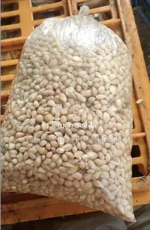 Indigenous and Exotic Tree Seeds 1 Kg.