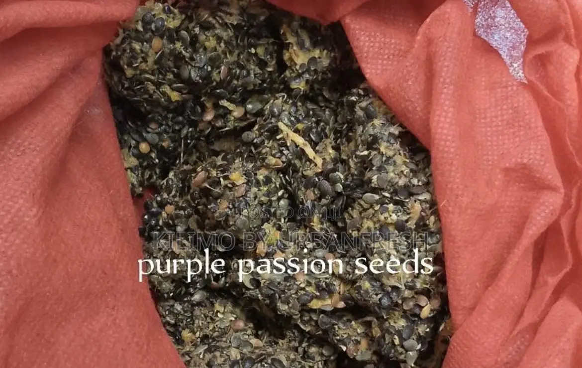 Indigenous and Exotic Tree Seeds 1 Kg.