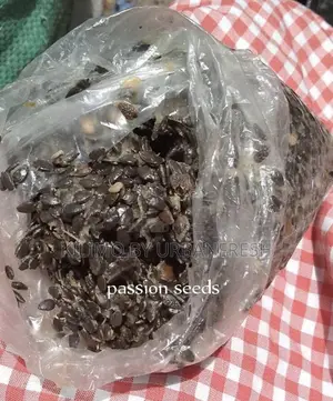 Indigenous and Exotic Tree Seeds 1 Kg.