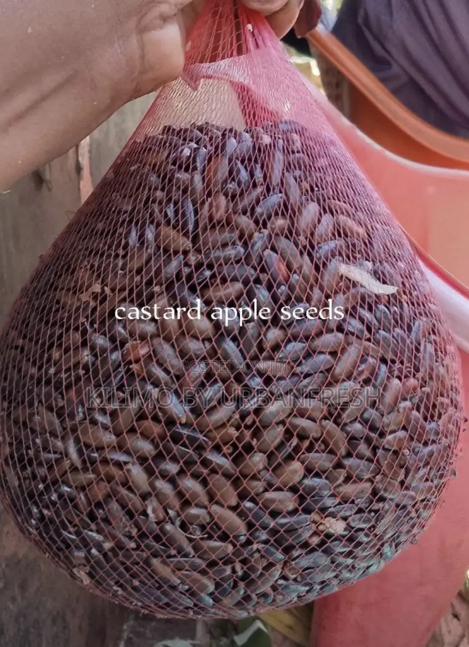 Indigenous and Exotic Tree Seeds 1 Kg.