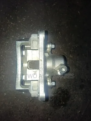Rear Prado Calipper